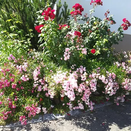 Wetterisch Lejlighed