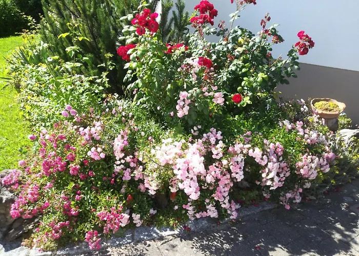 Wetterisch Апартаменты