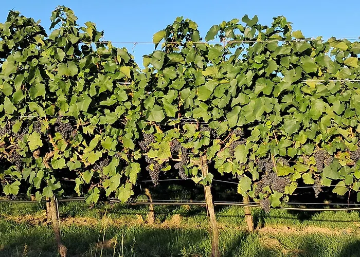 Wetterisch Апартаменты